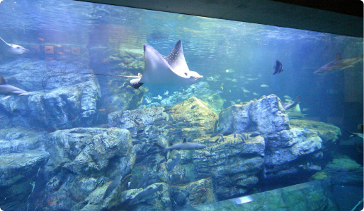 画像:大分マリーンパレス水族館「うみたまご」