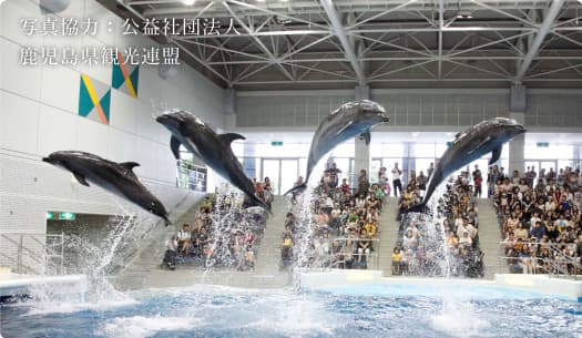 画像:いおワールドかごしま水族館