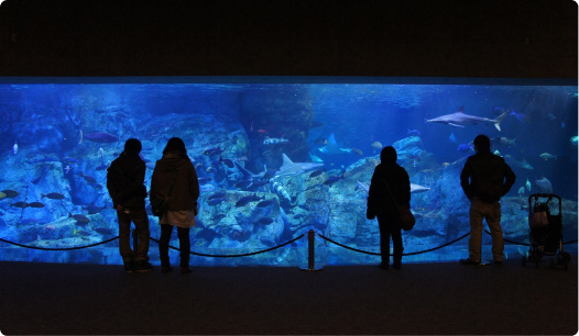 画像:大分マリーンパレス水族館「うみたまご」